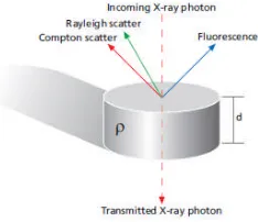 Gambar 1. Interaksi sinar-X dengan materi [1]