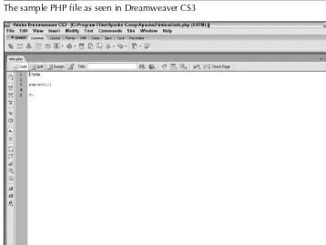 FIGURE 1.24The sample PHP file as seen in Dreamweaver CS3