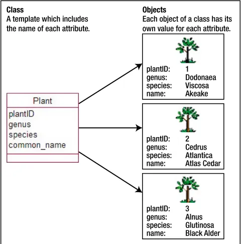 Figure 2-6. A class and some of its objects