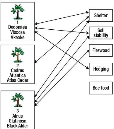 Figure 2-7. Some instances of the relationship between Plant and Use