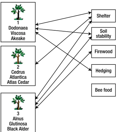 Figure 2-7. Some instances of the relationship between Plant and Use