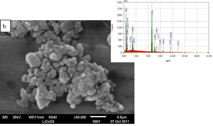 Gambar 3b. Spektrum unsur  nano partikel LiCoO2 hasil pengamatan EDX 
