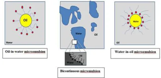 Gambar 2.2 Gambaran skematis mikroemulsi: (a) minyak dalam air, (b) bicontinous, dan (c) air dalam minyak (Pathan et al., 2012) 