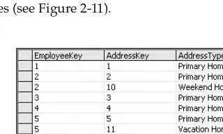 Figure 2-10 The new AddressType column is used to indicate the type of residence. This allows employees to share 
