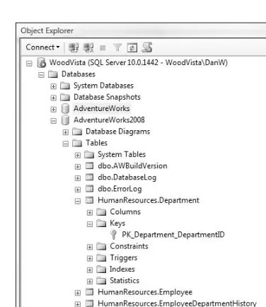 Figure 3-8 Object Explorer ’ s functionality is exposed through the context menu. Right - clicking on any object or 