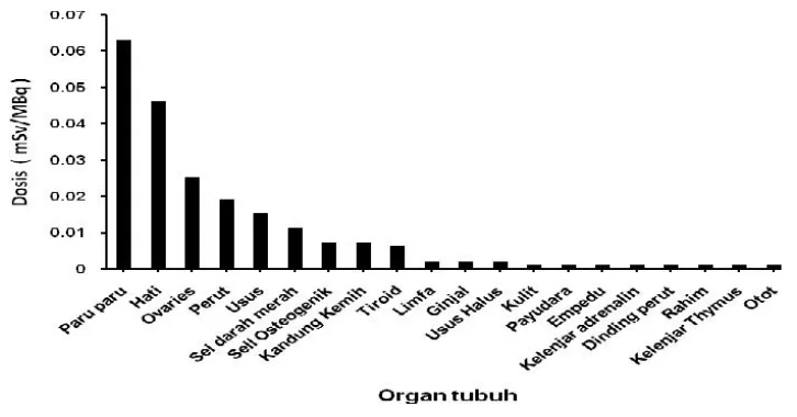 Gambar 4. Estimasi distribusi dosis 177Lu-DOTA-Trastuzumab pada manusia