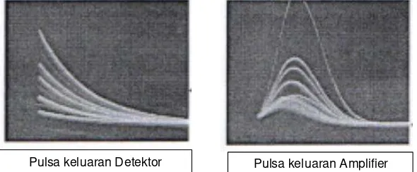 Gambar 1. Tombol-tombol dan fasilitas panel penguat pulsa 