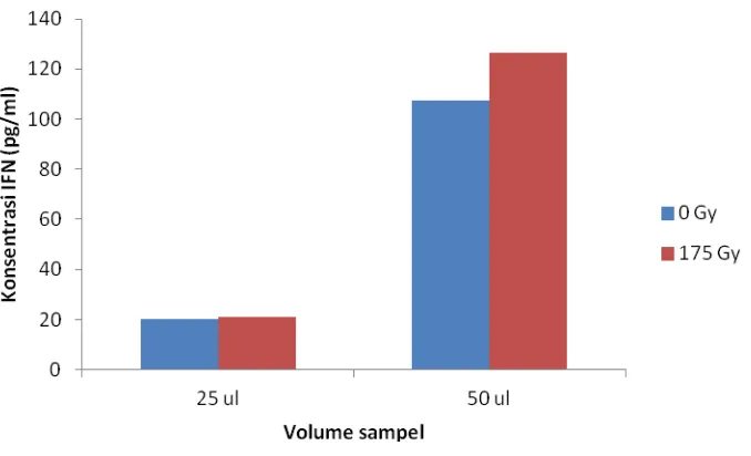 Gambar 2.  Konsentrasi IFN-γ dalam kultur in vitro paska inokulasi dengan P.falciparum radiasi maupun yang infeksius dengan variasi volume 