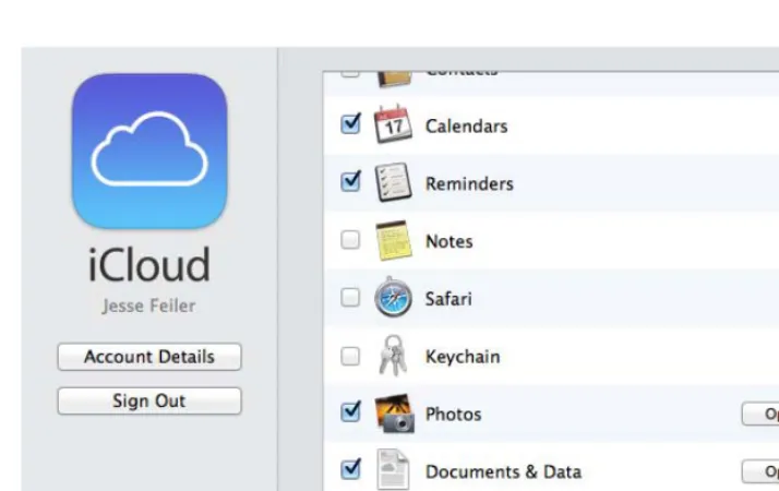 Figure 1.2 Storing documents by app in iCloud