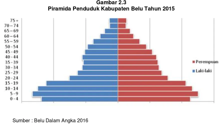 Gambar 2.3 Piramida Penduduk Kabupaten Belu Tahun 2015 