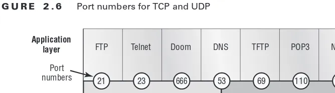 Figure 2.6 illustrates how both TCP and UDP use port numbers.