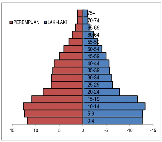 Tabel 2.4 Grafik Piramida Distribusi