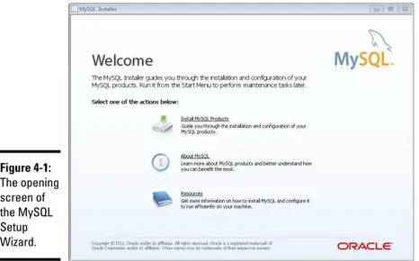 Figure 4-1: The opening  screen of  the MySQL  Setup  Wizard.