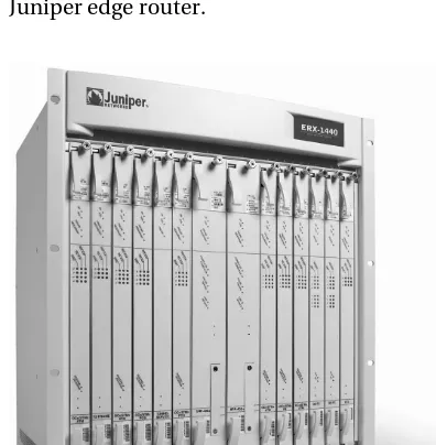 Figure 4-1. A Juniper edge router, courtesy of Juniper Networks