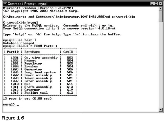 Figure 1-6You can also run the mysql utility from a command prompt on a remote computer