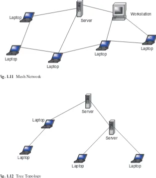 Fig. 1.11 Mesh Network