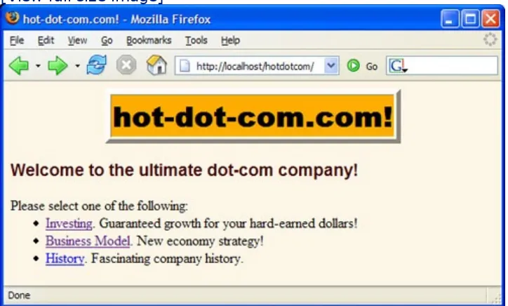 Figure 3-2. Home page for hot-dot-com.com.
