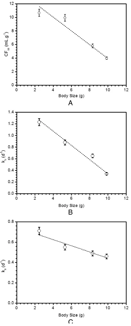 Fig. 5. Measured internal concentration factor in steady state period; CFSS(A), uptake rate;Chanos chanosku(B) and depuration rate; (C) of 137Cs as function of time for different body sizes in determined after 10 days of exposure.