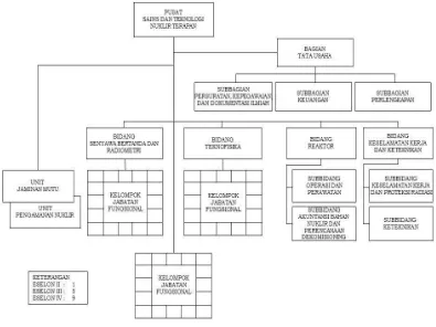 Gambar 1. Struktur Organisasi PSTNT 