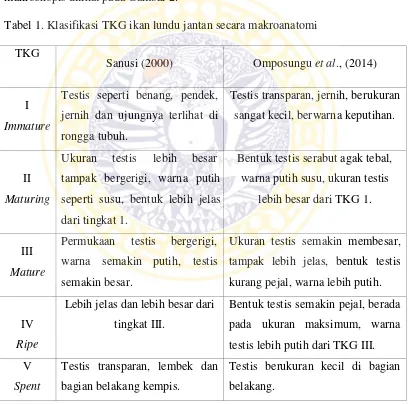 Tabel 1. Klasifikasi TKG ikan lundu jantan secara makroanatomi 