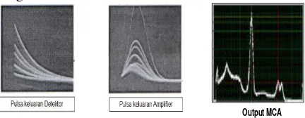 Gambar 1. Ilustrasi pulsa listrik dari detektor dan Amplifier 