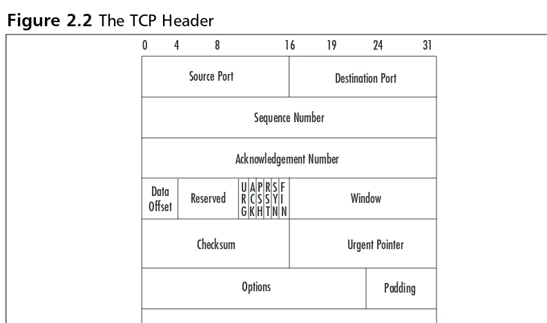 Figure 2.2 The TCP Header