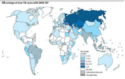 Gambar 1.1 Persentasi Kasus Baru TB dengan MDR (WHO, 2014)
