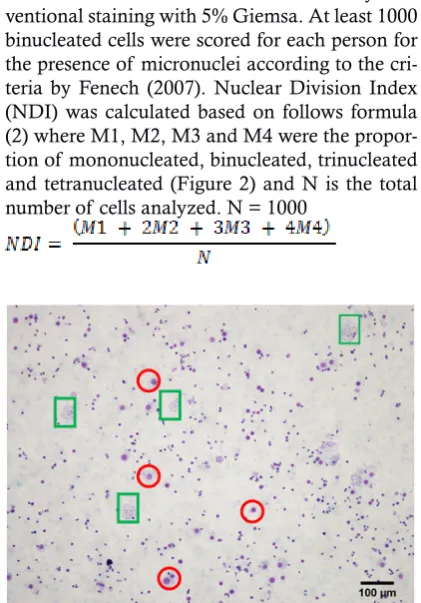 Figure 2. A microscopic view of Giemsa stained slide that containing the number of cells with one, two, three and four nuclei chromosome spread (boxes) for evaluation NDI (magnification 