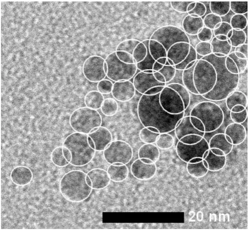 Figure 2. TEM image of the dried magnetic fluid.  