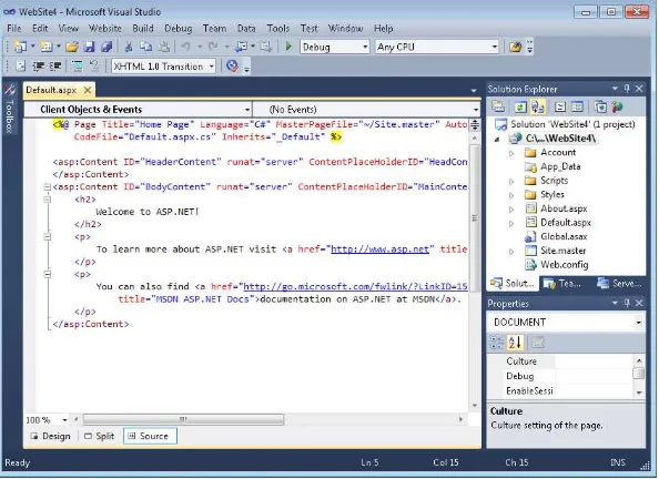 Figure 1-3 shows an example of the IDE after a new website has been created.