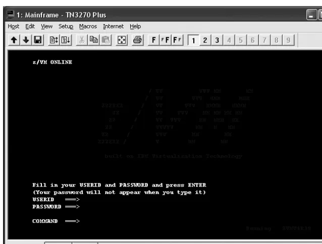 Figure 1-1. 3270 mainframe “green screen” terminal display
