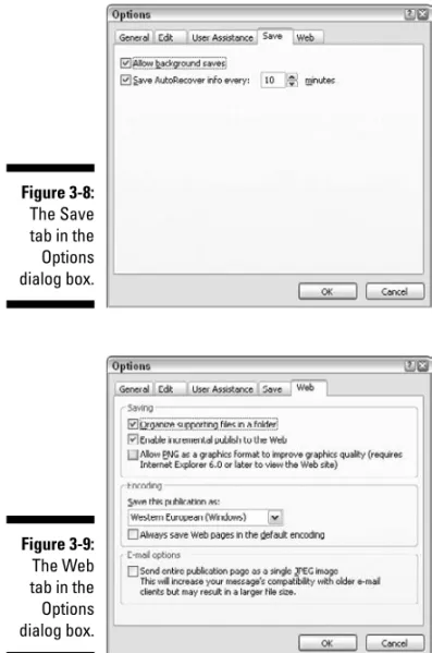 Figure 3-9: The Web tab in the Options dialog box.Figure 3-8:The Savetab in theOptionsdialog box