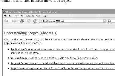 Figure 3-1. The Scopes web application start page