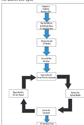 Figure 2.1 The Botnet Life Cycle