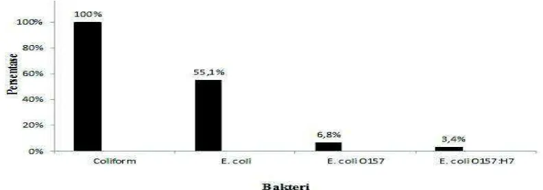 Gambar 2. Persentase perbandingan antara bakteri Coliform, E. coli, E. coli O157 dan E