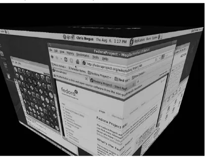FIGURE 3-13Rotate workspaces on a cube with AIGLX desktop effects enabled.