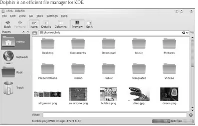 FIGURE 3-4Dolphin is an efficient file manager for KDE.