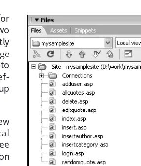 Figure 2-18. The Files panel showing local files