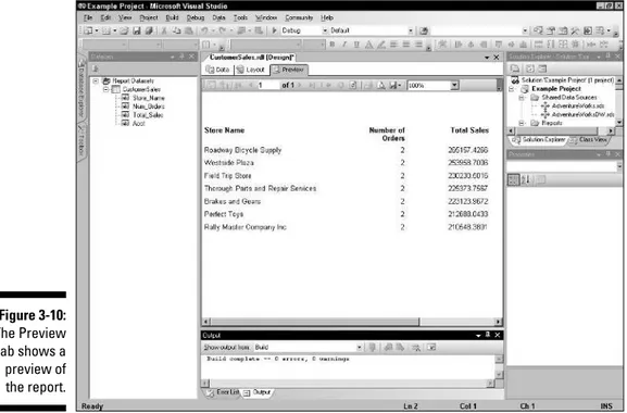 Figure 3-10: The Preview tab shows a preview of the report. 59Chapter 3: Building and Running a Simple Report