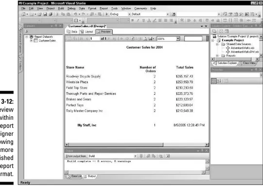 Figure 3-12: The Preview tab within the Report Designer showing a more polished report format.