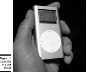 Figure 1-2:iPod mini fits