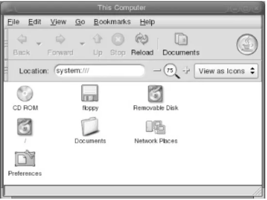 Figure 2-18. The My Computer Folder fromWindows 2000