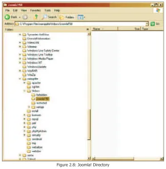 Figure 2.9: Display of the Apache Directory