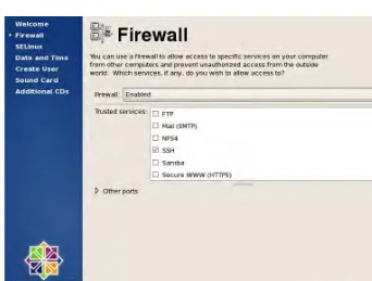 Figure 1-19. Incoming connections on services can be permitted in the Firewall settings.