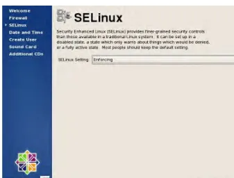 Figure 1-20. SELinux settings can be configured here. 