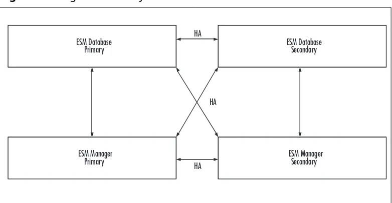 Figure 9.6 High-Availability ESM Architecture