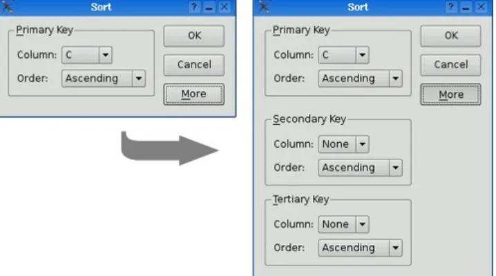 Figure 2.11. The Sort dialog with simple and extendedappearances