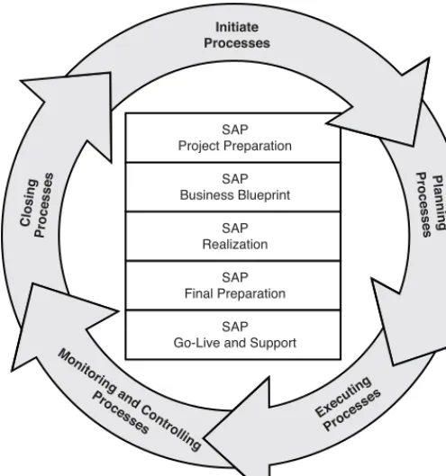 FIGURE 9.1 Project processes map to all SAP phases.