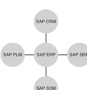 FIGURE 1.1 The SAP Business Suite.