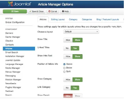 Figure 1-7. The Options button of the Article Manager displays the Global options